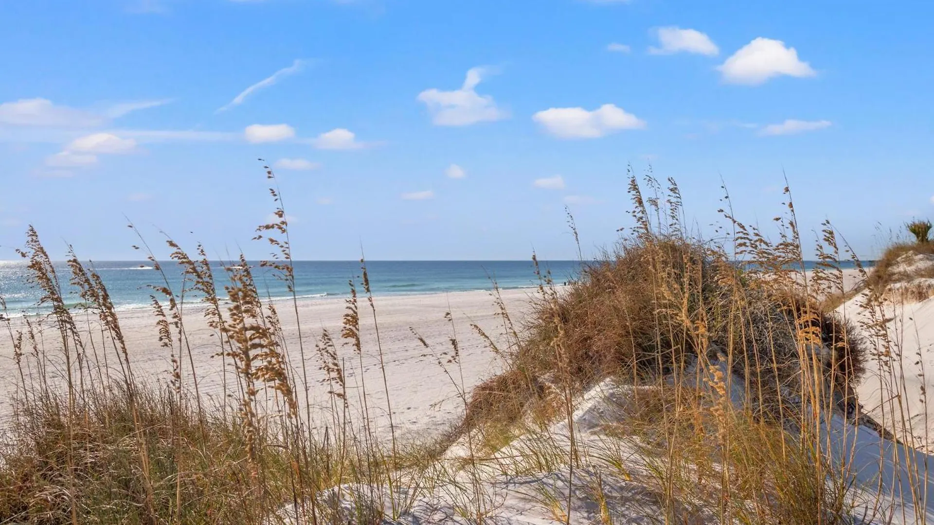 Commodore 1209 Panama City Beach